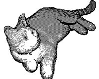 KITTY3.BMP