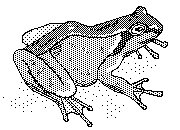 FROG.BMP
