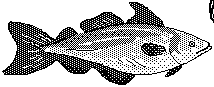 FISH1.BMP