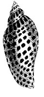 ILL353.BMP
