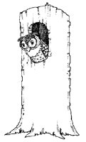 ILL310.BMP