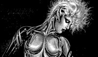 TIGRESS.BMP