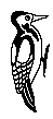 WOODPECK.BMP