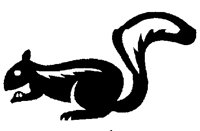 SQUIRL.BMP