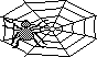 SPIDER.BMP