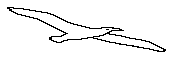 SEAGULL.BMP
