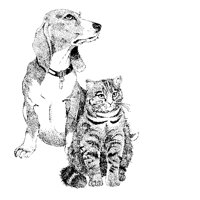 28_PETS.BMP