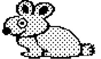 RABBIT.BMP