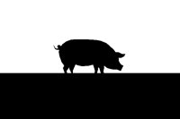 PIG.BMP