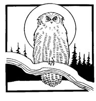 OWL.BMP