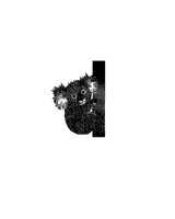 KOALA.BMP