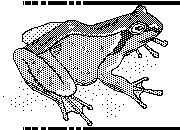 FROG4.BMP