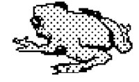 FROG.BMP