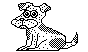 DOG1.BMP