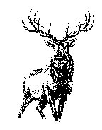 DEER.BMP