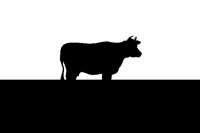 COW.BMP