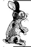 BUNNY.BMP