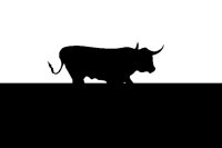 BULL.BMP