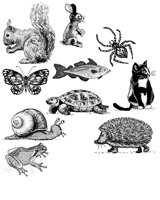 ANIMALS1.BMP