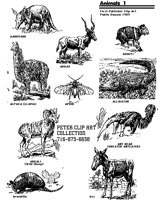 ANIMAL01.BMP
