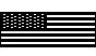 US_FLAG.BMP