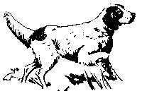 POINTER.BMP