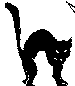 BLACKCAT.BMP