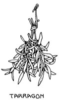ART33_5.BMP