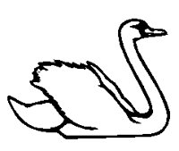 SWAN.BMP