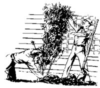 GARDENER.BMP