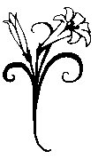 FLOWER2.BMP