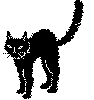 BCAT.BMP
