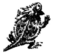 HORNTOAD.PCX