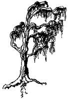 TREES4_1.PCX