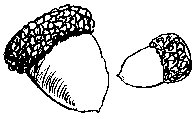 MISC5_2.PCX