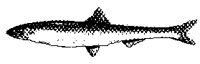 FISH1_5.PCX