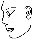 FACE3_1.PCX