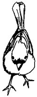 BIRD1_3.PCX