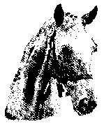 ANML1_3.PCX