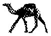 ANML1_1.PCX