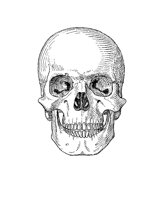 SKULL2.PCX