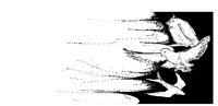 NOVBIRD3.PCX
