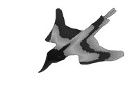 FIRSBIRD.PCX