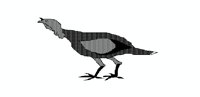 FEBTURKB.PCX