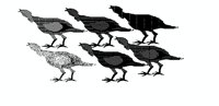FEB6TURK.PCX