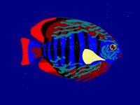 Z_FISH01.BMP