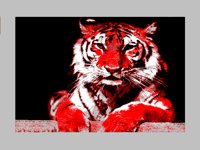 Z_BENGAL.BMP