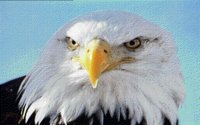 EAGLE.BMP