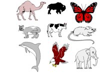 ANIMALS1.BMP