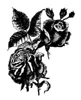 ROSES.PCX